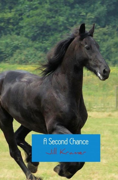 A Second Chance, Jill Kramer - Paperback - 9789402173987