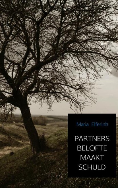Partners belofte maakt schuld, Maria Elferink - Paperback - 9789402177428