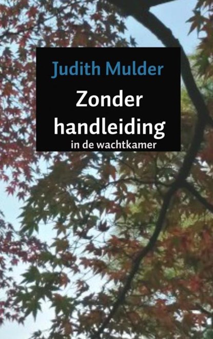 Zonder handleiding, Judith Mulder - Paperback - 9789402181111