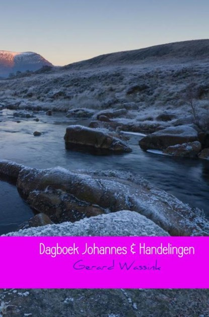Dagboek Johannes & Handelingen, Gerard Wassink - Paperback - 9789402183764