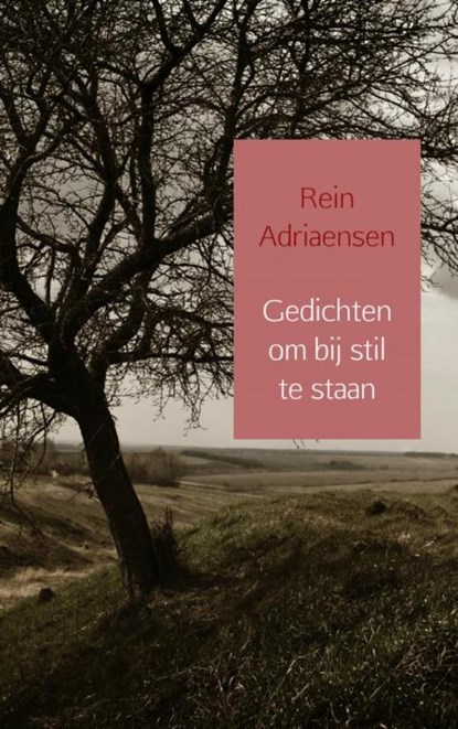 Gedichten om bij stil te staan, Rein Adriaensen - Paperback - 9789402186604