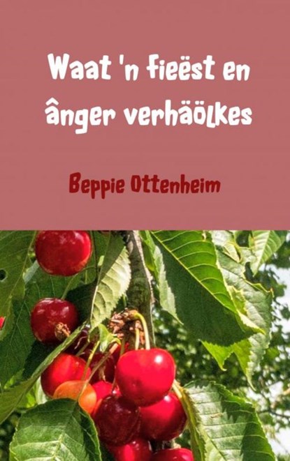 Waat 'n fieëst en ânger verhäölkes, Beppie Ottenheim - Paperback - 9789402187601