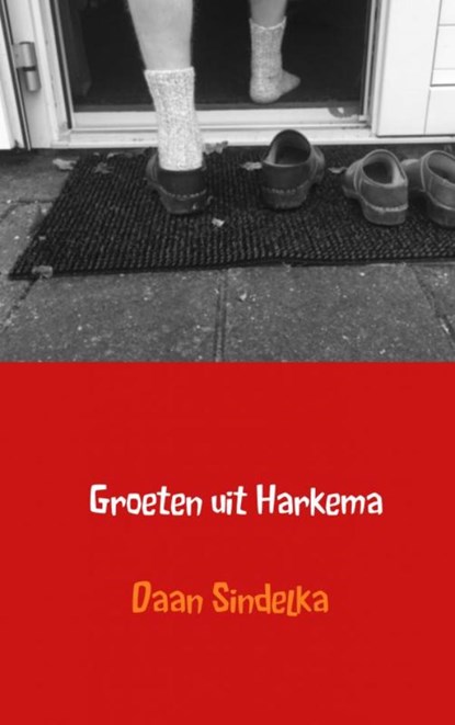 Groeten uit Harkema, Daan Sindelka - Paperback - 9789402187939
