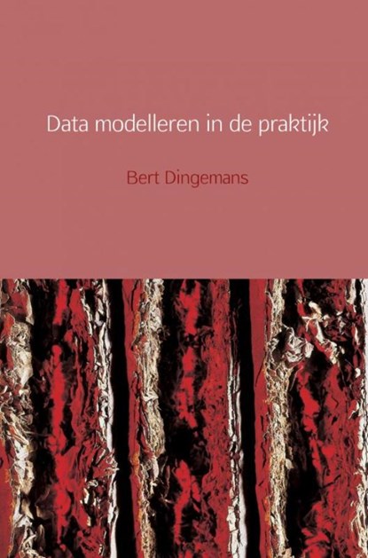 Data modelleren in de praktijk, Bert Dingemans - Paperback - 9789402187960