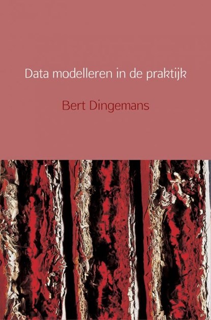 Data modelleren in de praktijk, Bert Dingemans - Ebook - 9789402188653