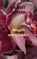 Negen orchideeën, Gilbert Keyzer - Paperback - 9789402191226