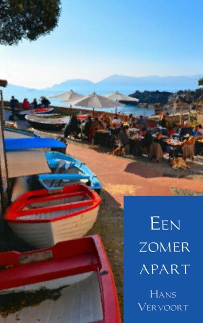 Een zomer apart, Hans Vervoort - Paperback - 9789402194609