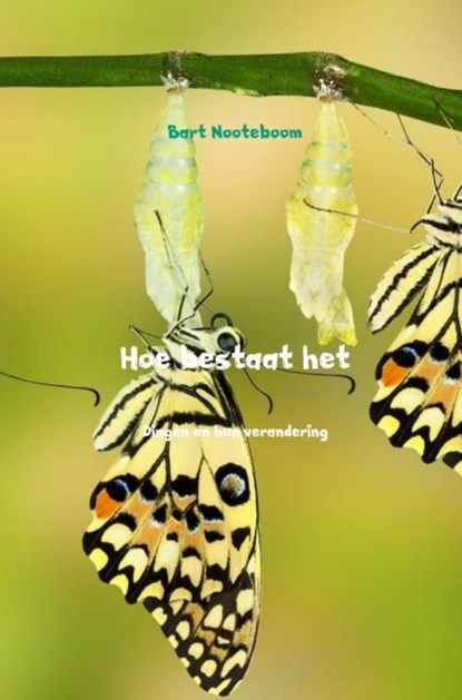 Hoe bestaat het, Bart Nooteboom - Paperback - 9789402195637