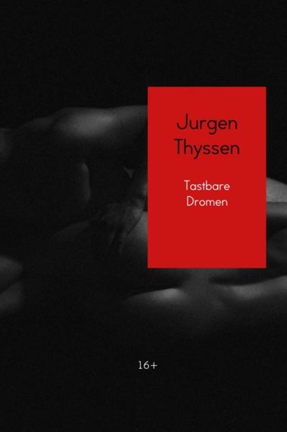Tastbare Dromen, Jurgen Thyssen - Gebonden - 9789402197211