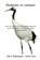Ouderen in contact, Gert R. Rebergen - Paperback - 9789402197235