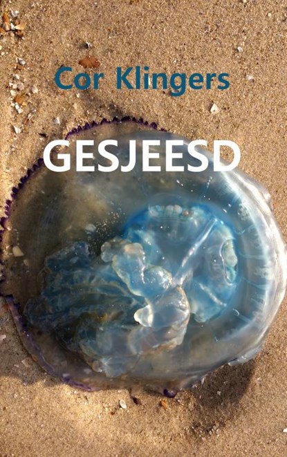 GESJEESD, Cor Klingers - Paperback - 9789402198232