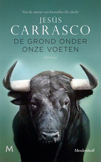 De grond onder onze voeten, Jesús Carrasco - Ebook - 9789402307474