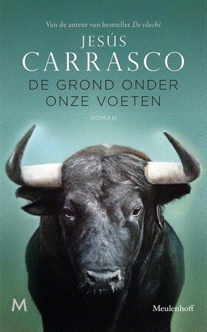 De grond onder onze voeten, Jesús Carrasco - Ebook - 9789402307474