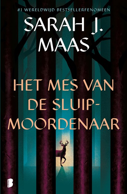 Het mes van de sluipmoordenaar, Sarah J. Maas - Ebook - 9789402315219