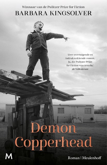 Demon Copperhead, Barbara Kingsolver - Ebook - 9789402321968