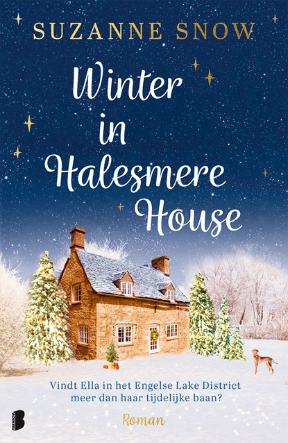 Winter in Halesmere House, Suzanne Snow ; Textcase - Ebook - 9789402323108