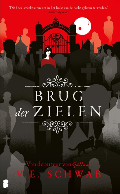 Brug der zielen, V.E. Schwab - Ebook - 9789402323696