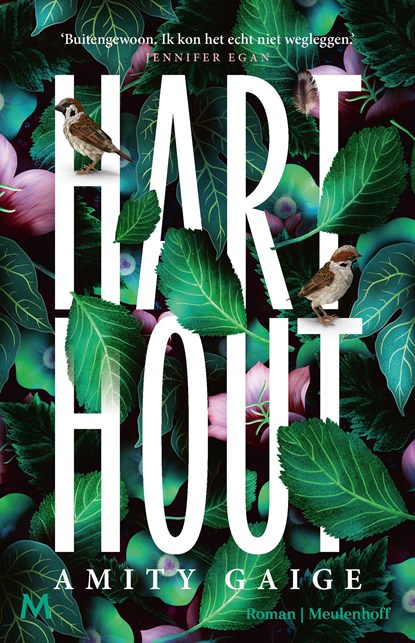 Harthout, Amity Gaige - Ebook - 9789402324761