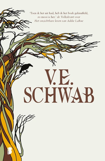 De heks van Near, V.E. Schwab - Ebook - 9789402325645