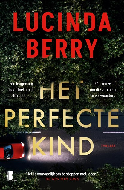 Het perfecte kind, Lucinda Berry - Ebook - 9789402331158