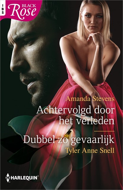 Achtervolgd door het verleden / Dubbel zo gevaarlijk, Amanda Stevens ; Tyler Anne Snell - Ebook - 9789402554335