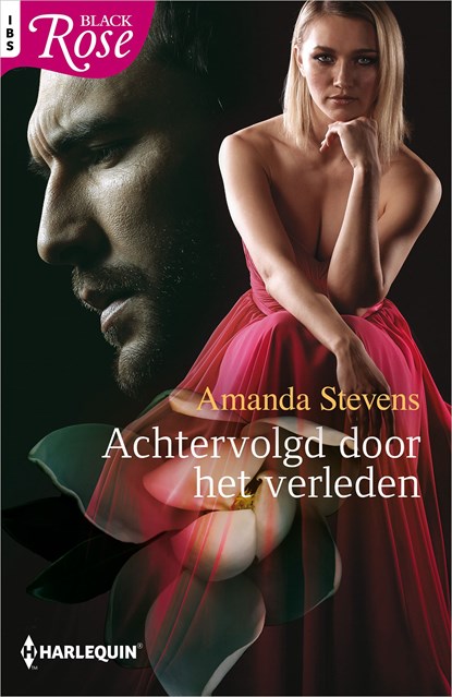 Achtervolgd door het verleden, Amanda Stevens - Ebook - 9789402554342
