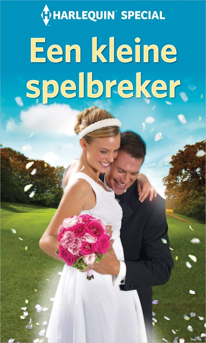 Een kleine spelbreker, Jule McBride - Ebook - 9789402557008