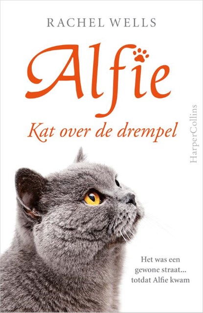 Kat over de drempel, Rachel Wells - Paperback - 9789402702859