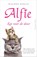 Kat voor de deur, Rachel Wells - Paperback - 9789402702873