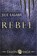 Rebel, Julie Kagawa - Paperback - 9789402705201