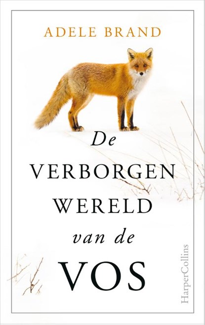 De verborgen wereld van de vos, Adele Brand - Gebonden - 9789402705546