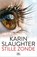 Stille zonde, Karin Slaughter - Paperback - 9789402706796
