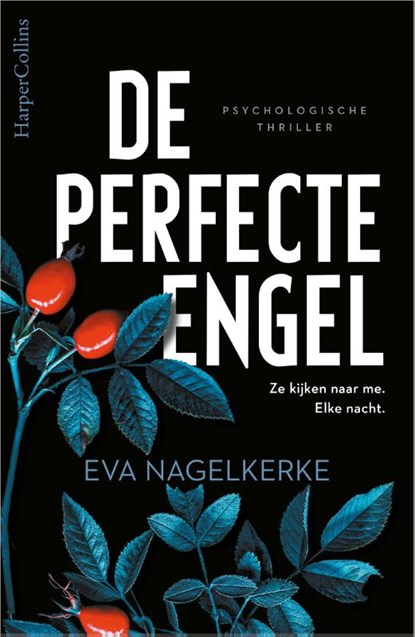 De perfecte engel, Eva Nagelkerke - Paperback - 9789402707182