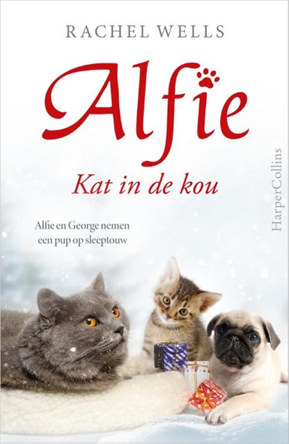 Kat in de kou, Rachel Wells - Paperback - 9789402708844