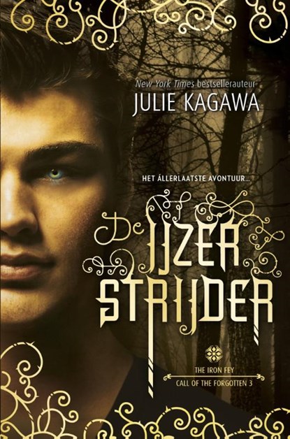 De IJzerstrijder, Julie Kagawa - Paperback - 9789402709506