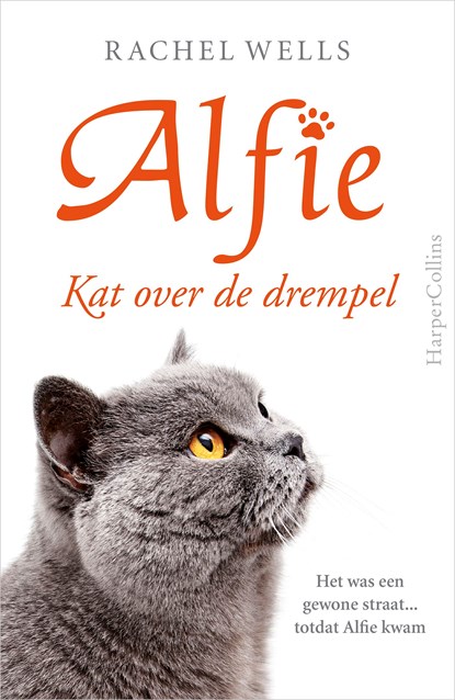 Kat over de drempel, Rachel Wells - Ebook - 9789402750157