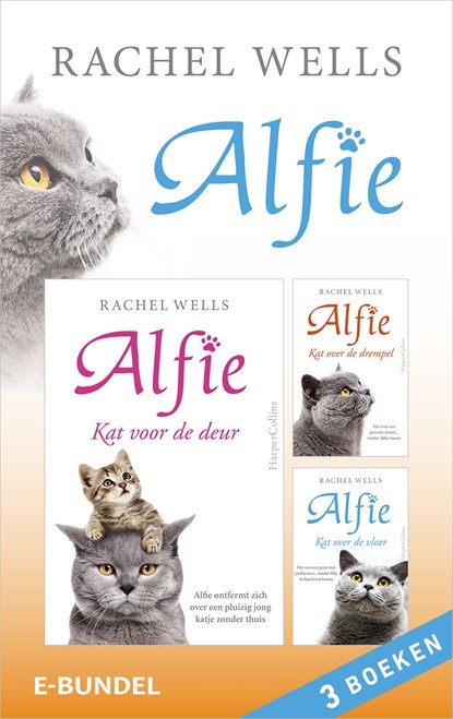 Alfie, Rachel Wells - Ebook - 9789402757910