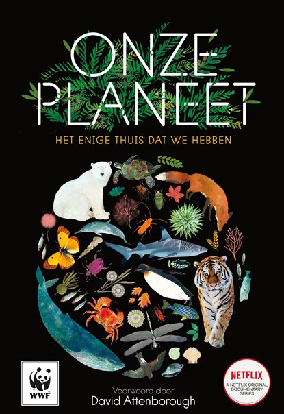 Onze planeet, Matt Whyman - Ebook - 9789402759037