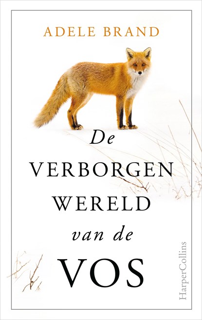 De verborgen wereld van de vos, Adele Brand - Ebook - 9789402759877