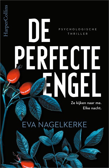 De perfecte engel, Eva Nagelkerke - Ebook - 9789402761368