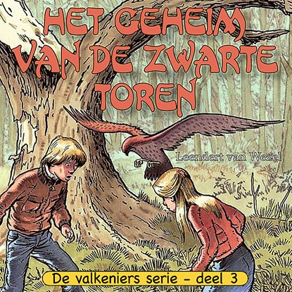 Het geheim van de zwarte toren, Leendert van Wezel - Luisterboek MP3 - 9789402910537