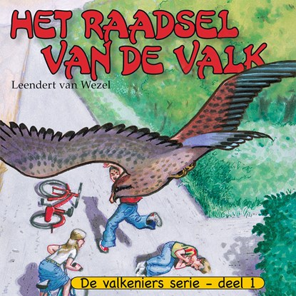 Het raadsel van de valk, Leendert van Wezel - Luisterboek MP3 - 9789402911251