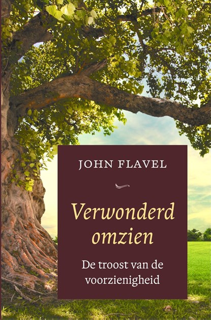 Verwonderd omzien, John Flavel - Ebook - 9789402913484