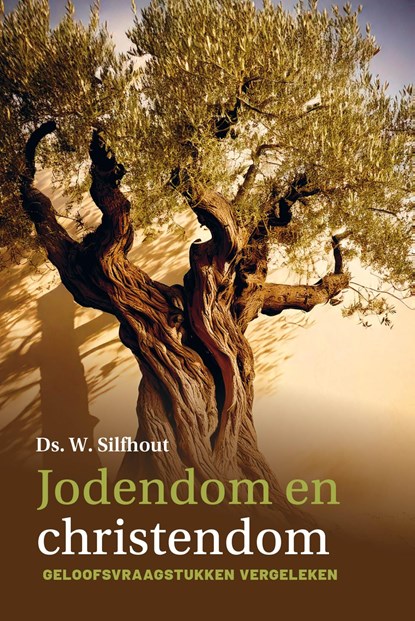 Jodendom en christendom, W. Silfhout - Ebook - 9789402913958