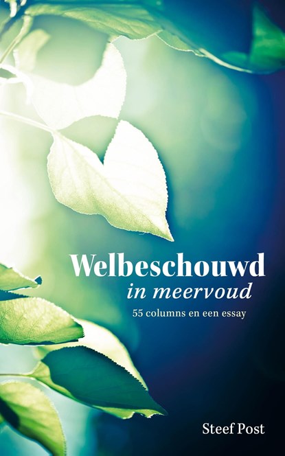 Welbeschouwd in meervoud, Steef Post - Ebook - 9789402914450
