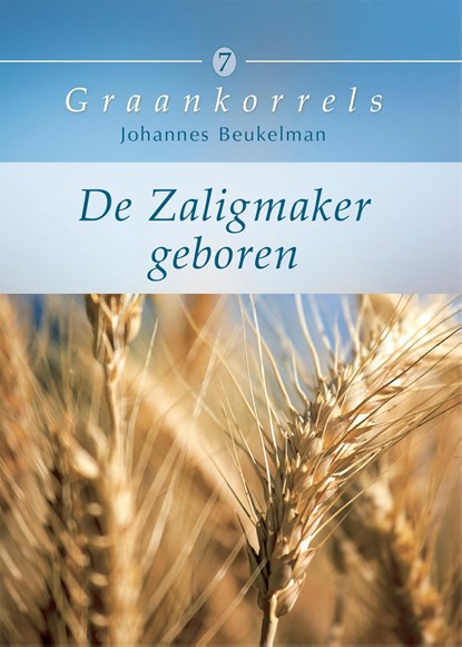 De Zaligmaker geboren, Johannes Beukelman - Ebook - 9789402915778