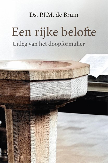 Een rijke belofte, P.J.M de Bruin - Ebook - 9789402915822