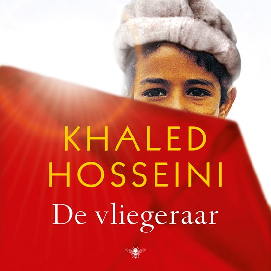 De vliegeraar