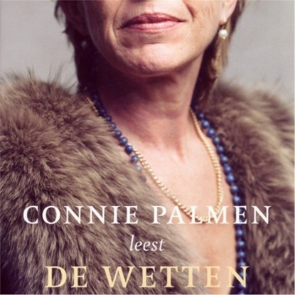 De wetten, Connie Palmen - Luisterboek MP3 - 9789403101705