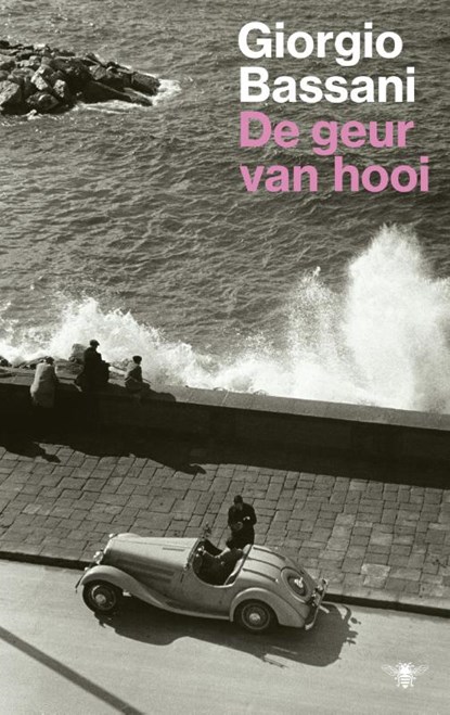 De geur van hooi, Giorgio Bassani - Paperback - 9789403102801